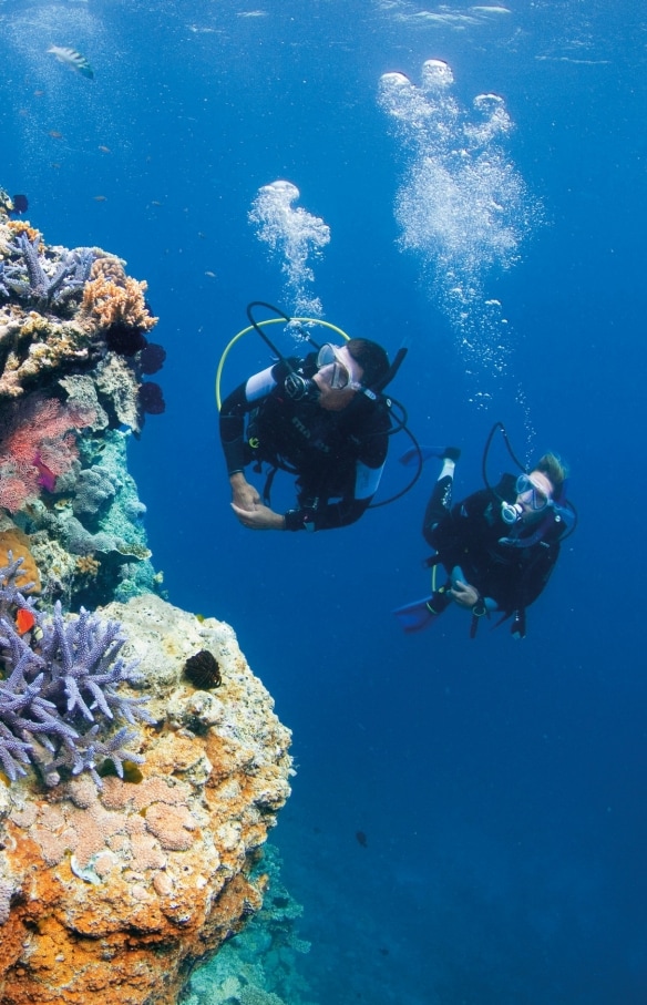 昆士蘭大堡礁的皮克斯花園©昆士蘭旅遊及活動推廣局