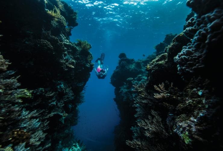 昆士蘭大堡礁的翡翠島©昆士蘭旅遊及活動推廣局