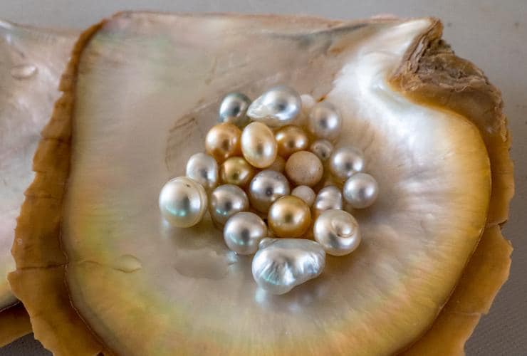 昆士蘭，托雷斯海峽群島，星期五島上的珍珠©Mark Fitz