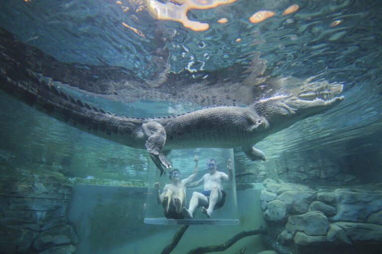 北領地達爾文的鱷魚主題公園©澳洲旅遊局