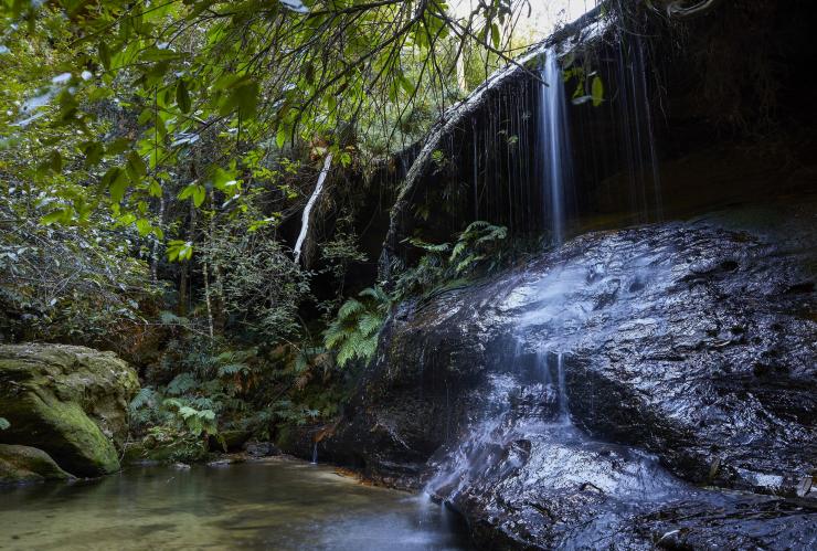 新南威爾士藍山勞森的南勞森瀑布環迴徑©新南威爾士州旅遊局