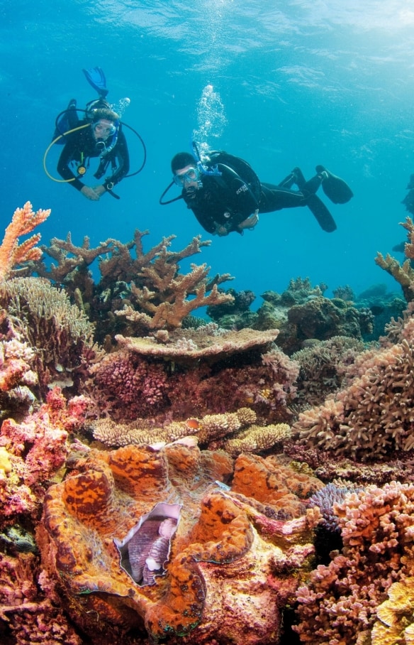 昆士蘭州（Queensland）大堡礁（Great Barrier Reef）蛤灣（Clam Gardens）©昆士蘭旅遊及活動推廣局