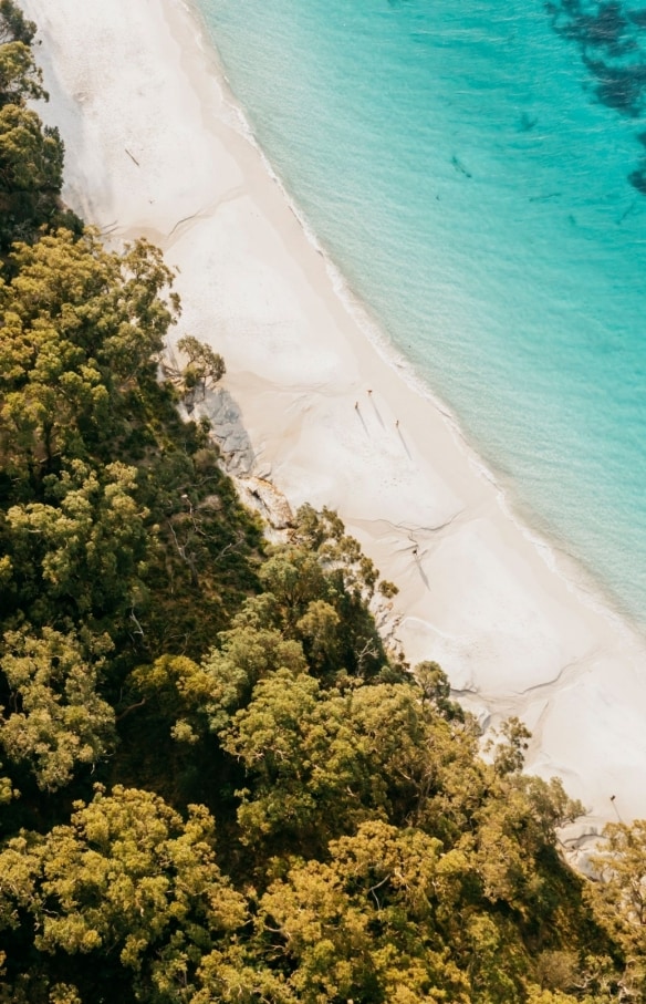 新南威爾士州（New South Wales）杰維斯海灣（Jervis Bay）的墨累海灘（Murrays Beach）©新南威爾士州旅遊局