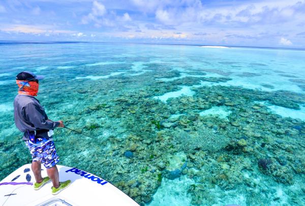 昆士蘭州大堡礁Nomad Sportfishing Adventures©Nomad Sportfishing Adventures