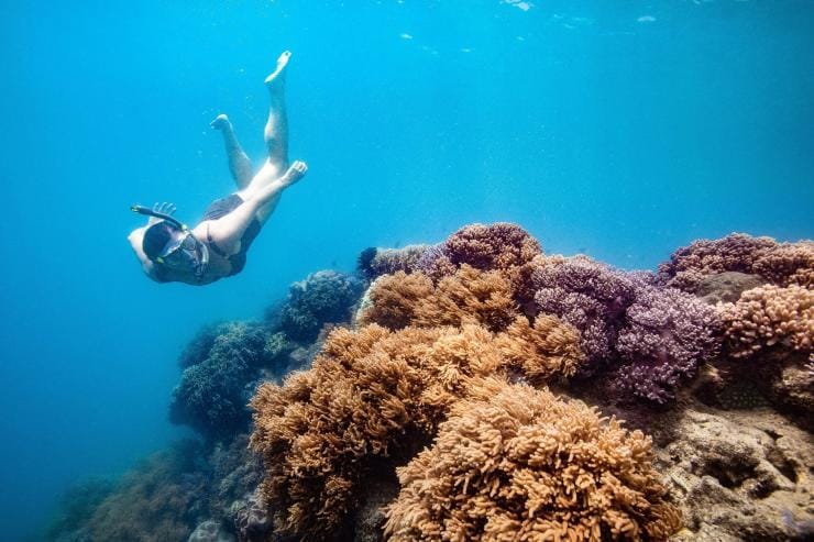 昆士蘭州大堡礁心形礁©澳洲旅遊局