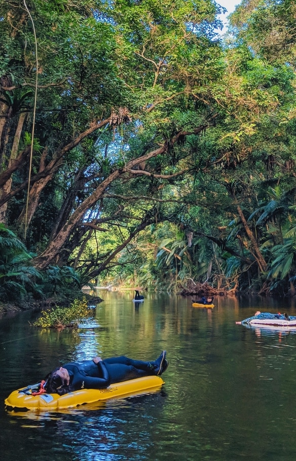 昆士蘭州戴恩樹雨林（Daintree Rainforest）與Back Country Bliss Adventures進行河上浮潛探奇（River Drift Snorkelling）©Back Country Bliss Adventures
