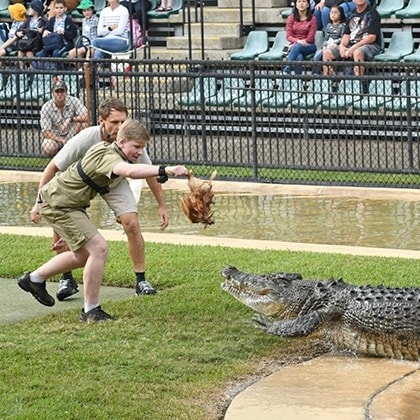 昆士蘭州布里斯本野生動物戰士表演©澳洲動物園