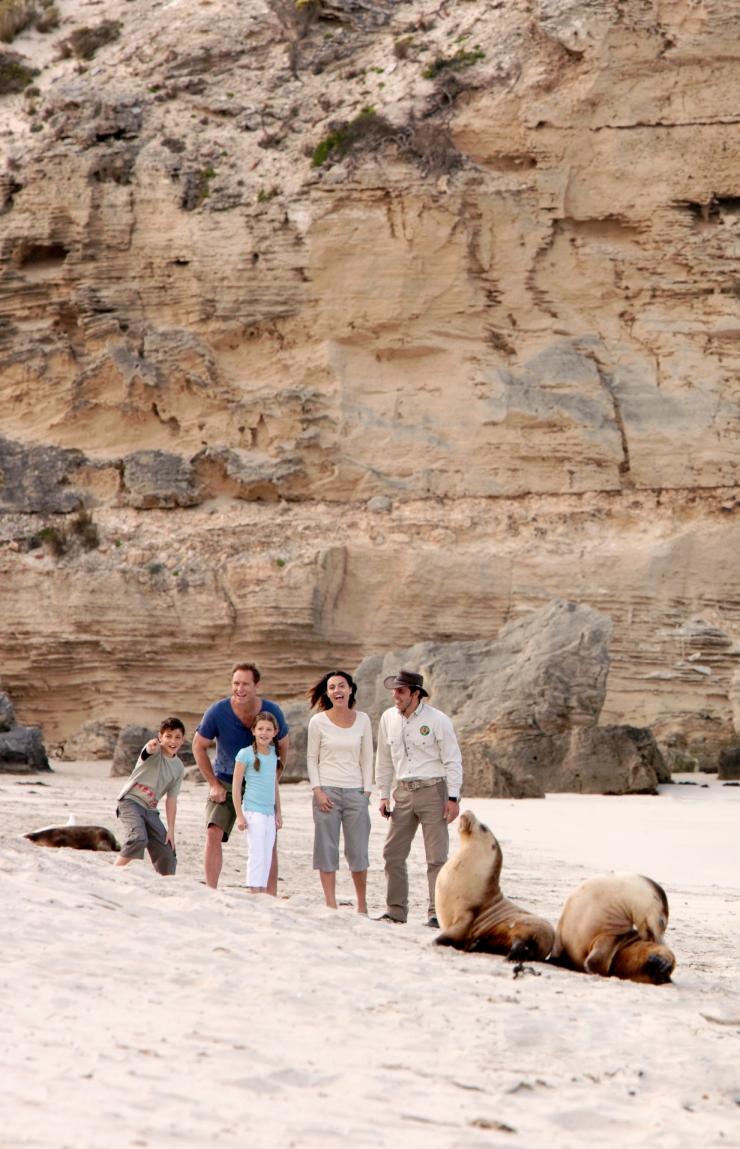 南澳州袋鼠島的海豹灣（Seal Bay）©澳洲旅遊局