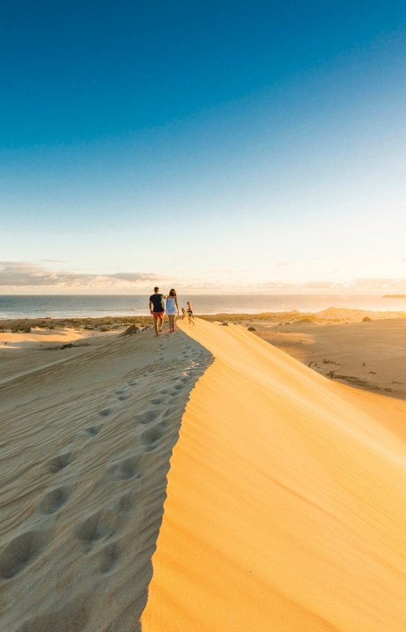  南澳州（South Australia）哥芬灣國家公園（Coffin Bay National Park）根雅海灘（Gunyah Beach）的沙丘©Robert Blackburn