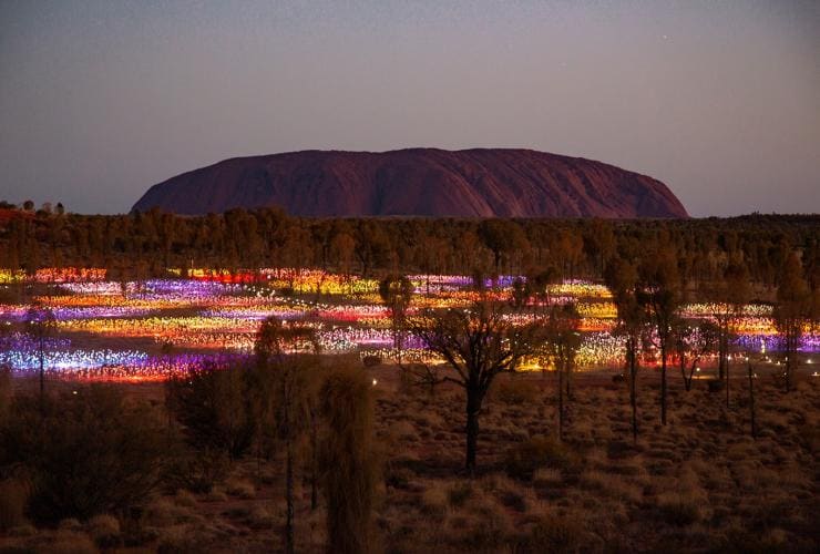 北領地烏魯魯ṟ-卡塔丘塔國家公園的原野星光展©澳洲旅遊局