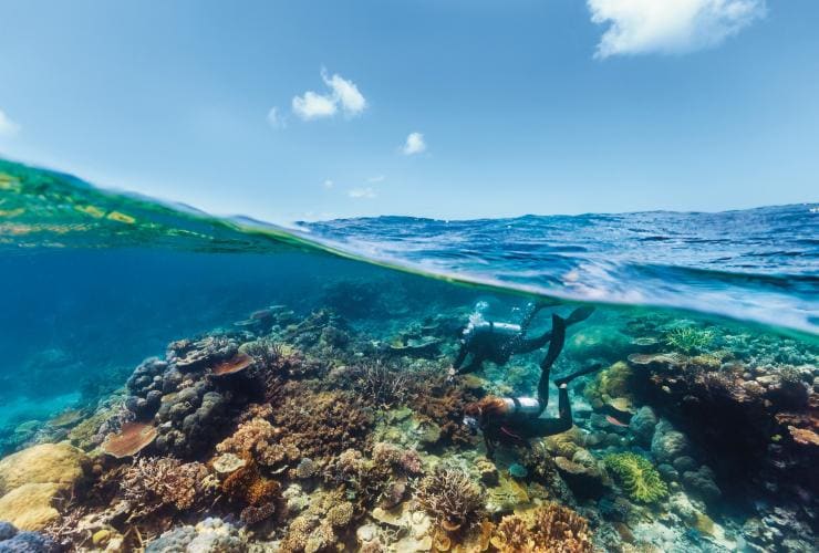 在昆士蘭州道格拉斯港的阿金考特礁浮潛©昆士蘭州旅遊及活動推廣局