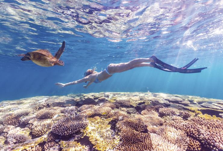 西澳州珊瑚海岸寧格魯珊瑚礁的珊瑚灣©西澳州旅遊局