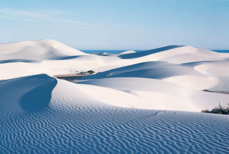 西澳州尤克拉（Eucla）的尤克拉沙丘（Eucla Sand Dunes）©西澳州旅遊局