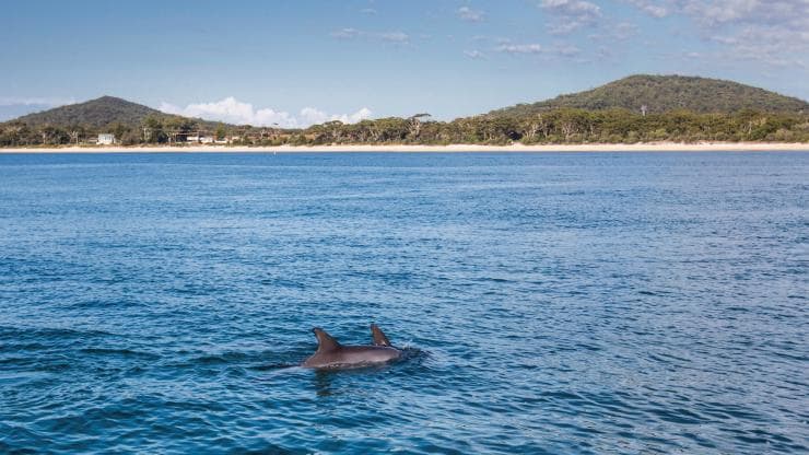 新南威爾士州史蒂芬港的尼爾森灣©新南威爾士州旅遊局