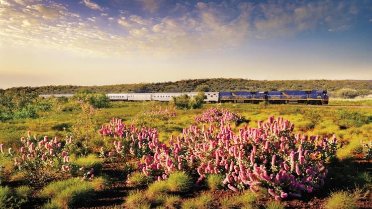南澳州阿德萊德的印度洋-太平洋號列車©Journey Beyond