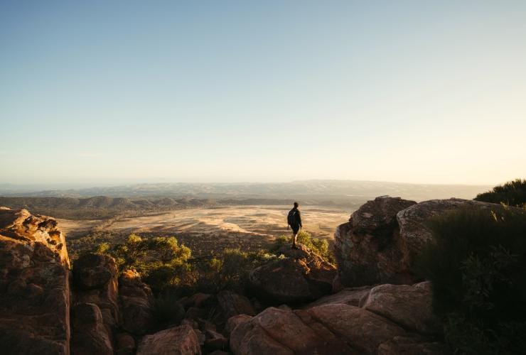 南澳州費蓮達山脈（Flinders Ranges）Untamed Escapes©Untamed Escapes