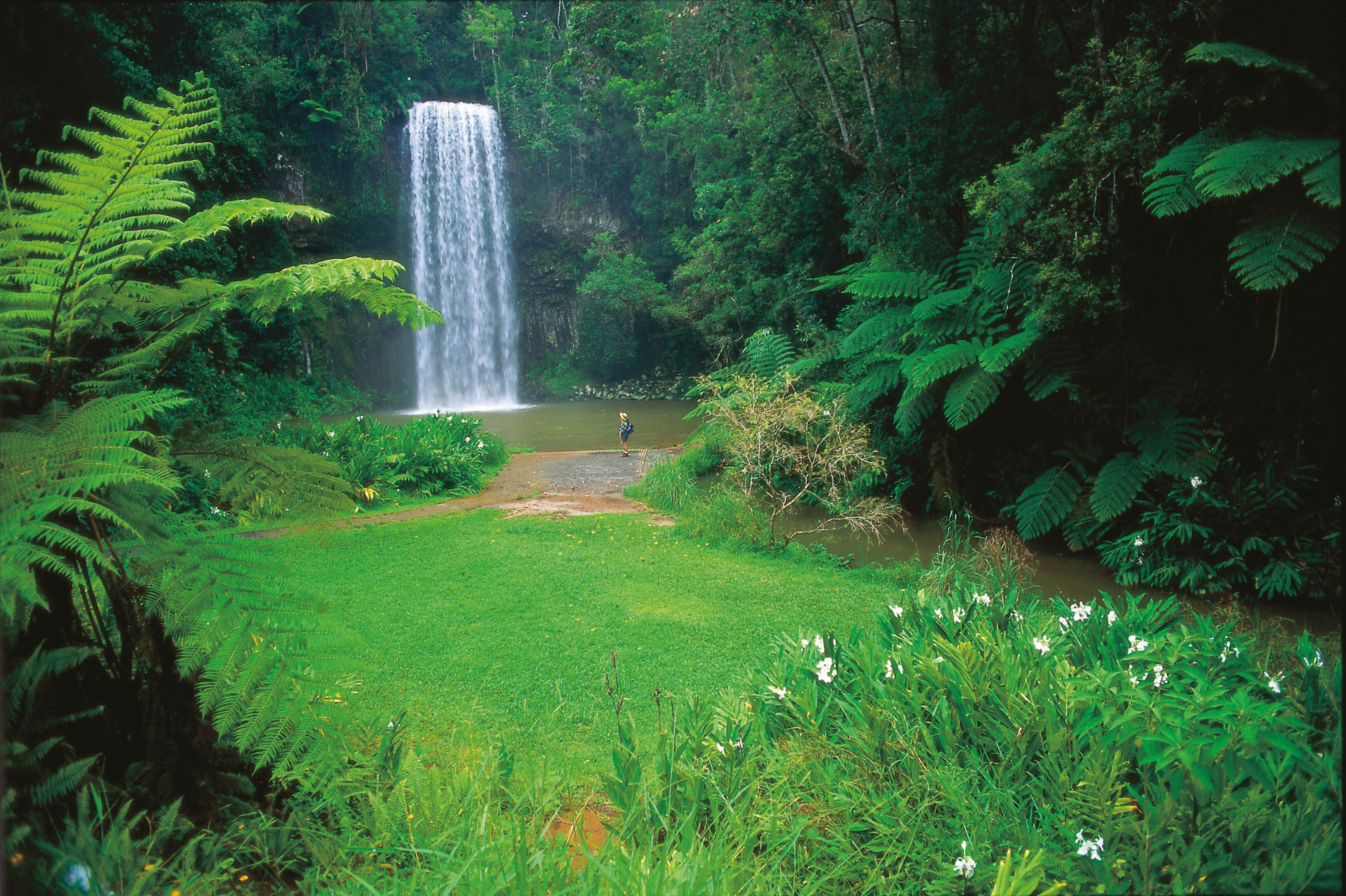 Incroyables cascades et points d'eau en Australie Tourism Australia