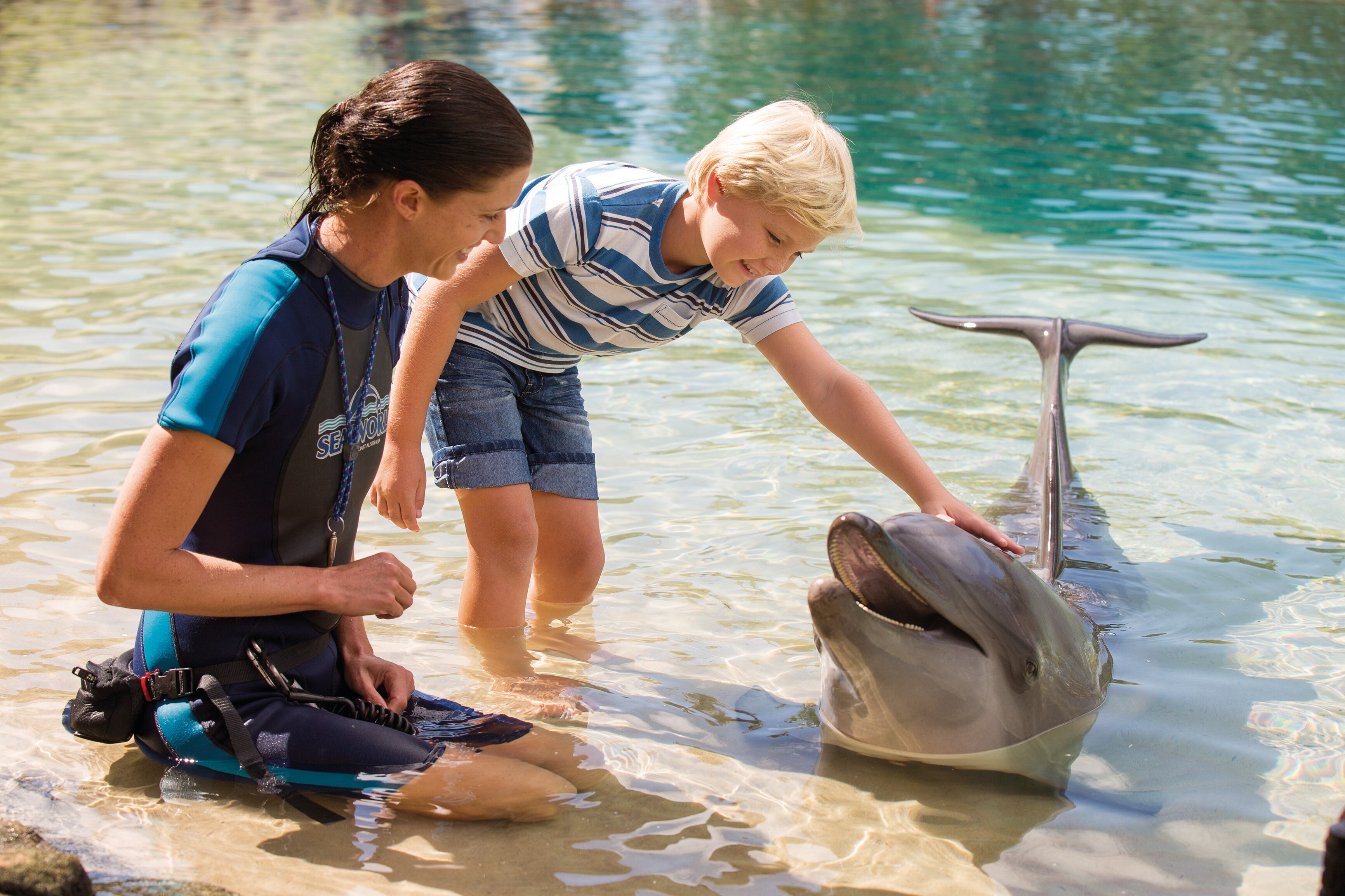 Parcs D attractions Et Activit s De La Gold Coast Tourism Australia