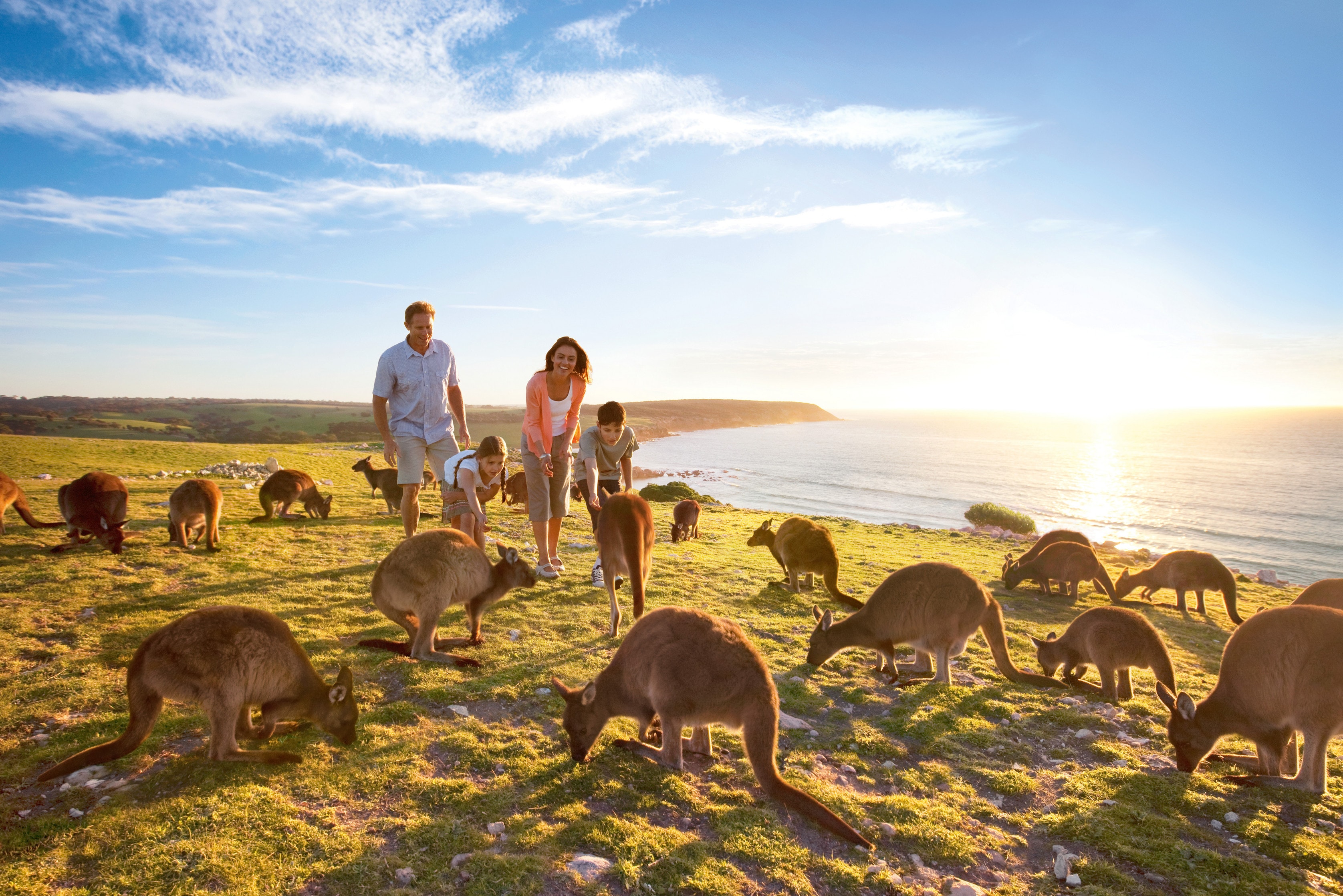 tour guide jobs kangaroo island