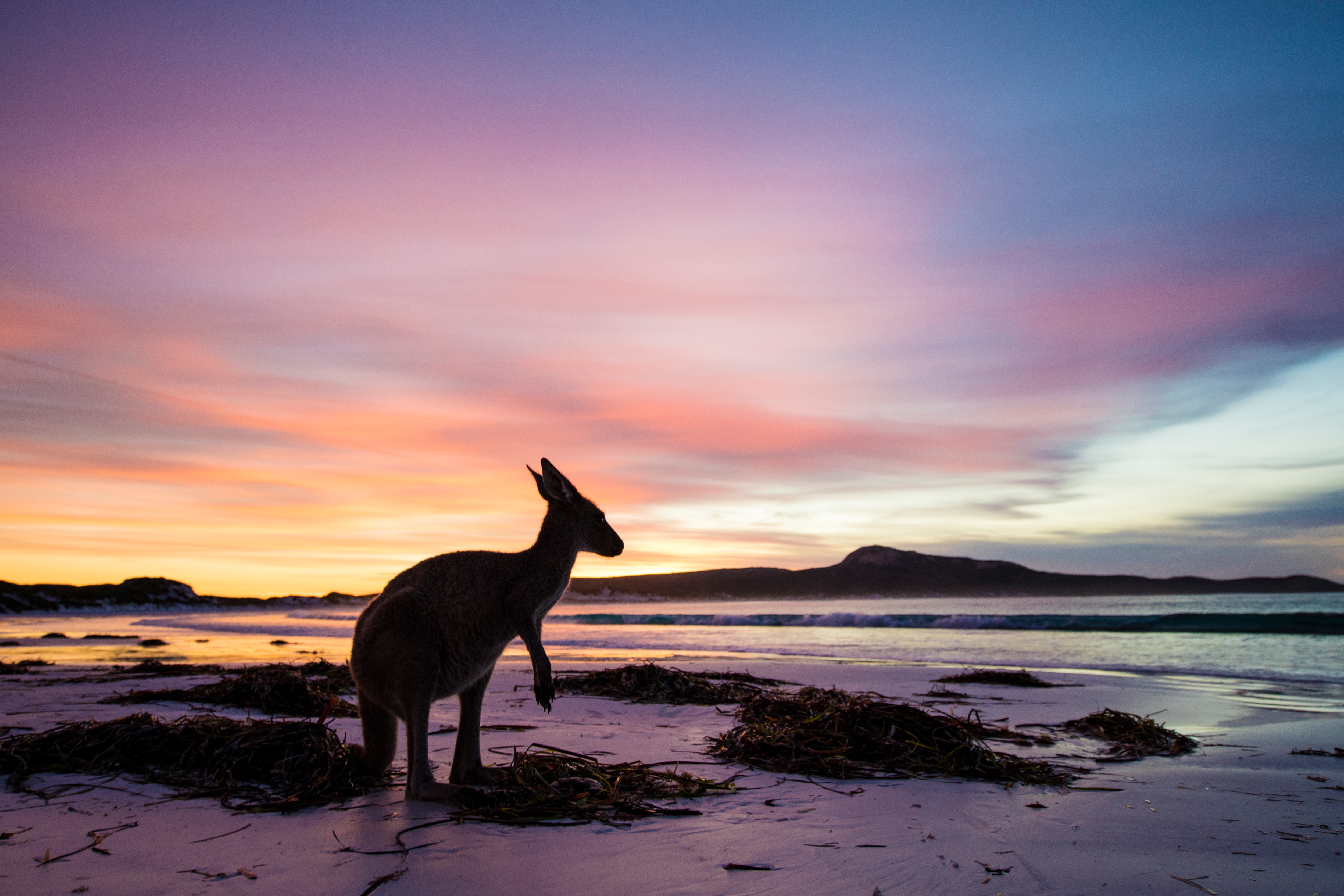 travel to esperance from perth