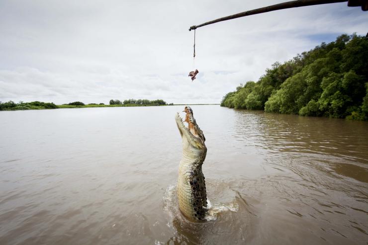 Jumping crocodiles © Tourism NT/Lynton Crabb