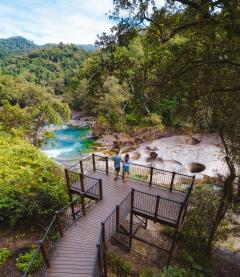 Visiteurs debout sur une plateforme surplombant une source naturelle © Tourism and Events Queensland