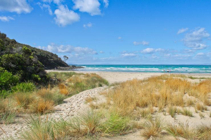 Sandpiper Beach, Swanwick, Freycinet National Park, Tasmanien © Tourism Tasmania & Kathryn Leahy