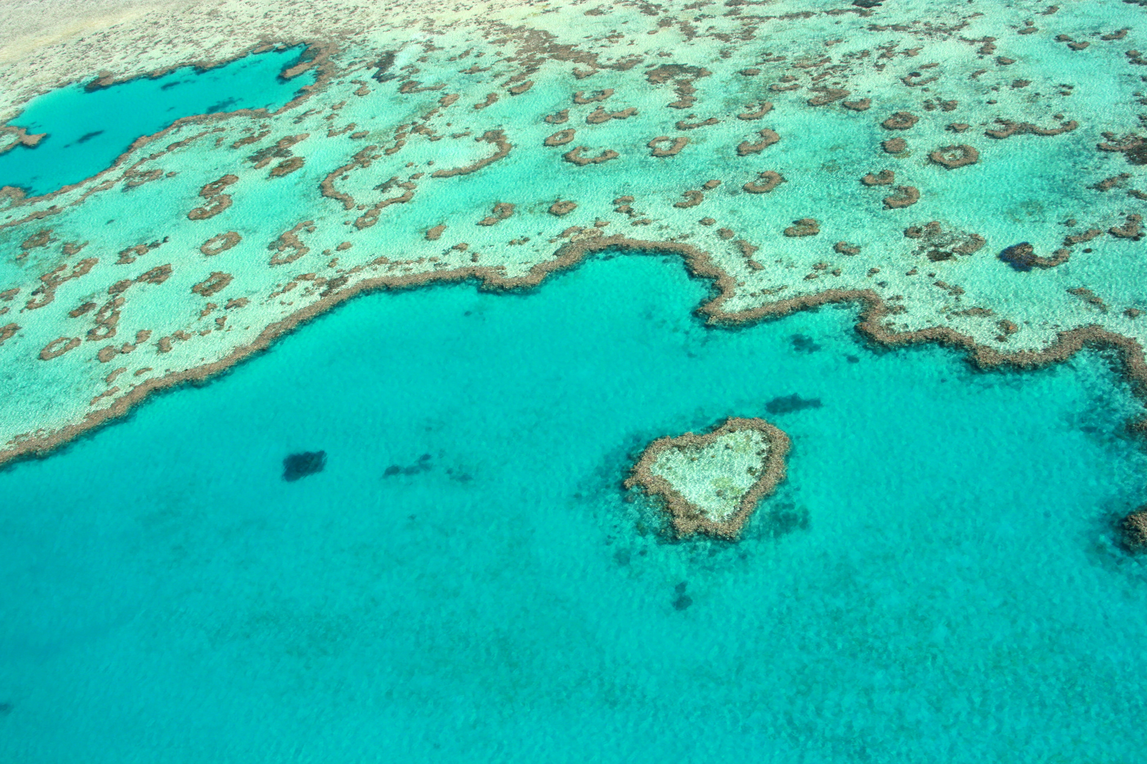 Guide to Heart Reef, Whitsundays - Tourism Australia