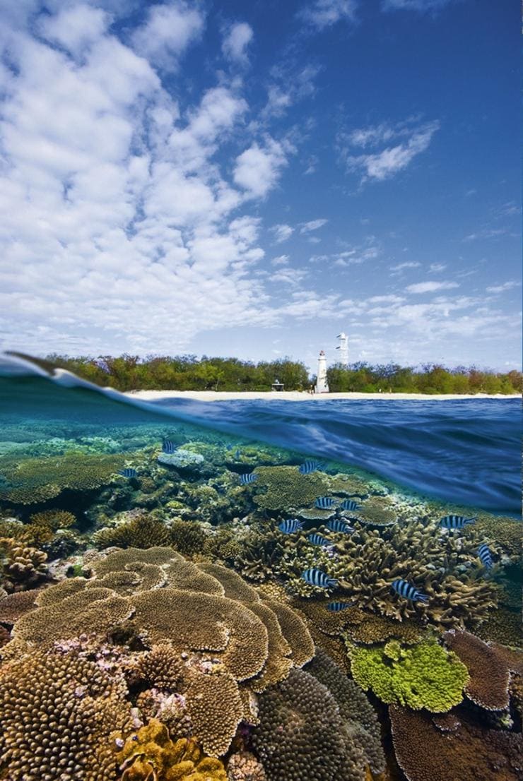 Meereswelle enthüllt Korallenriff unter blauem Himmel © Lady Elliot Island Eco Resort