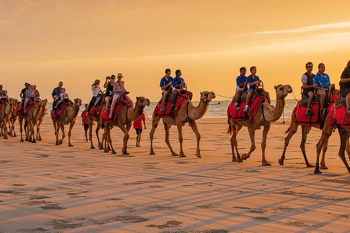 Camels at sunset on Cable Beach, Broome ©Tourism Western Australia