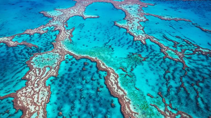 The Great Barrier Reef, QLD © Tourism Australia