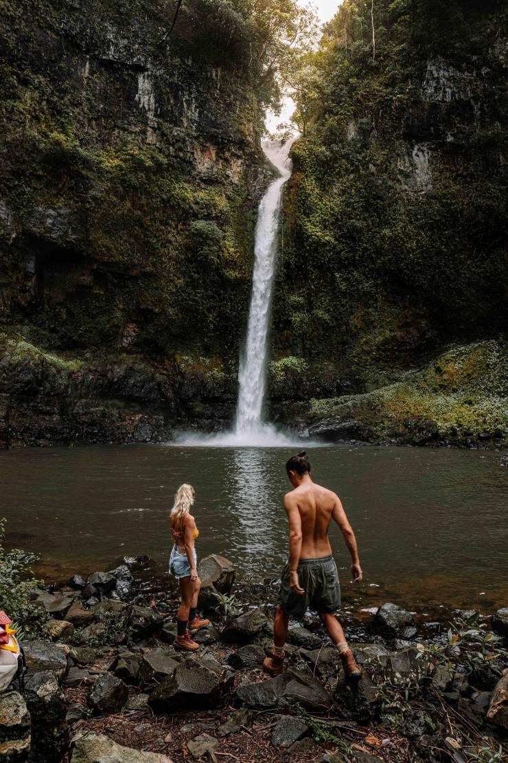 Nandroya Falls, Atherton Tablelands, Queensland © Tourism Australia