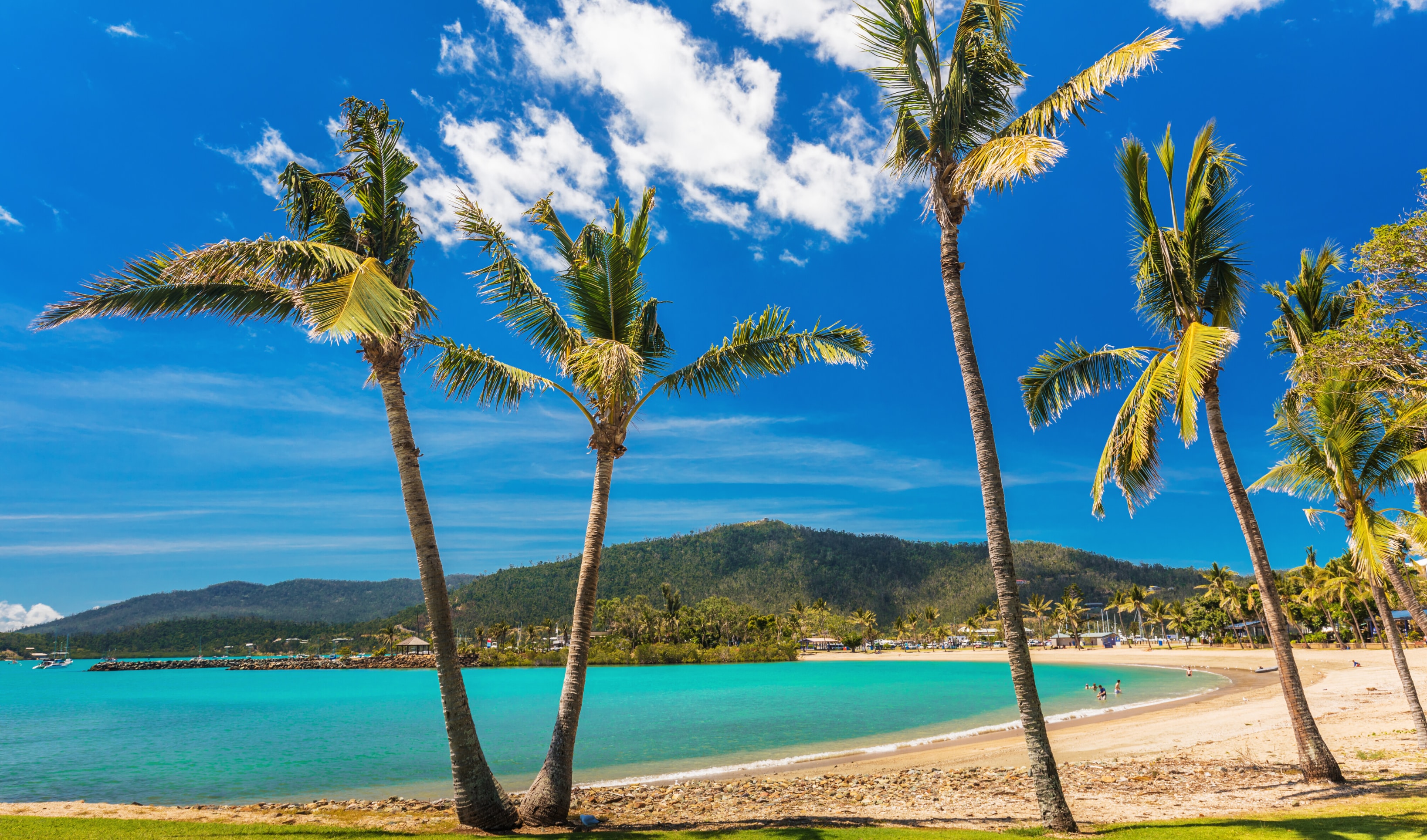 travel to airlie beach from melbourne