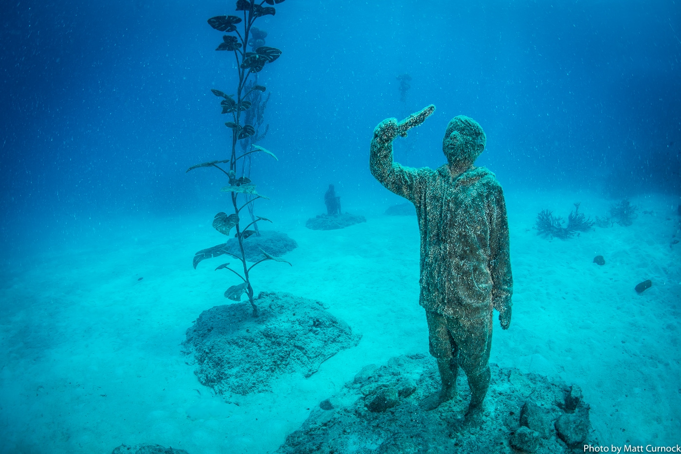 グレート バリア リーフの海中美術館を見る オーストラリア政府観光局