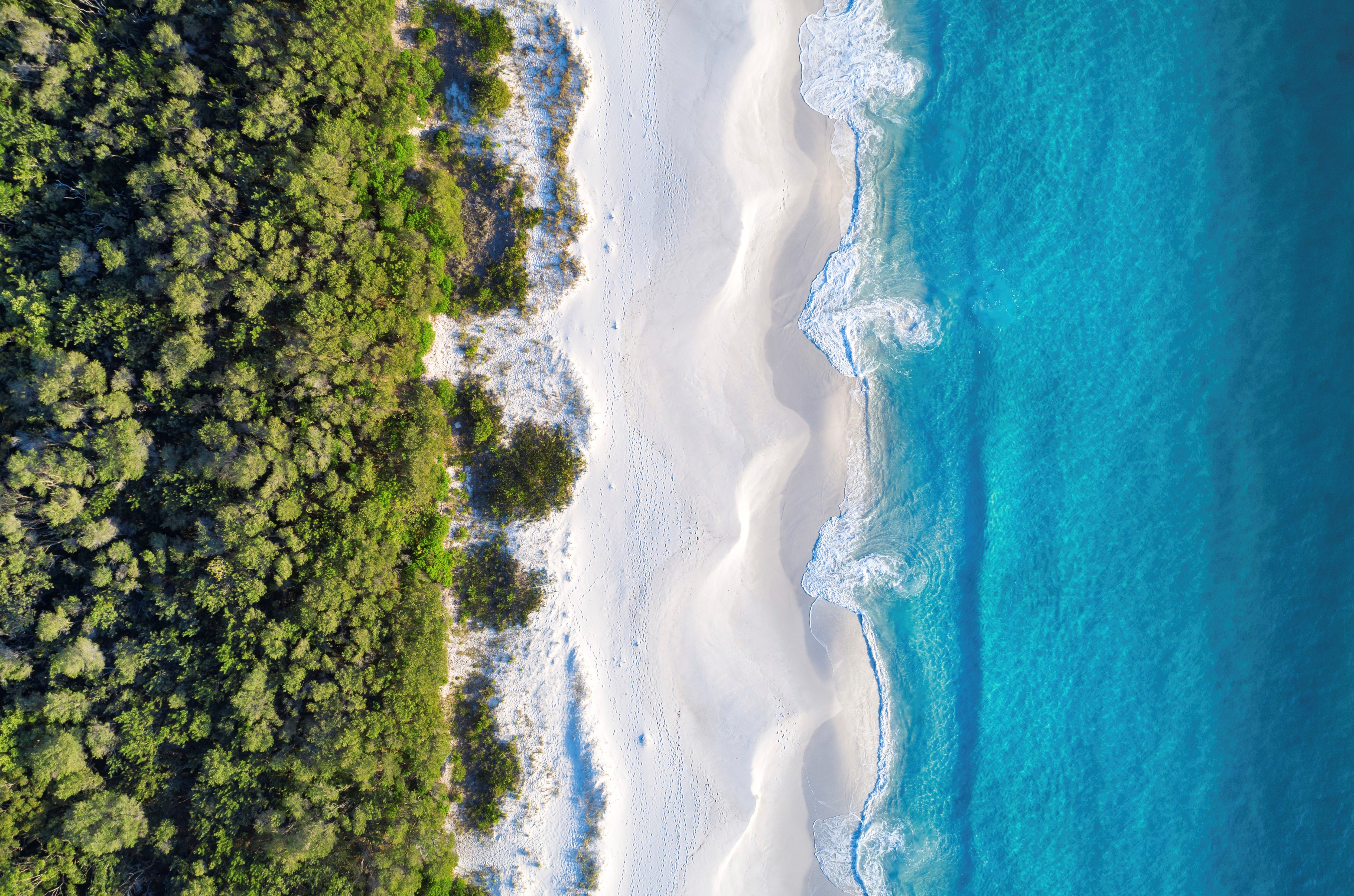 Guide To Jervis Bay Tourism Australia