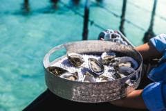 Oyster Farm Tours, Eyre Peninsula, Südaustralien © South Australian Tourism Commission