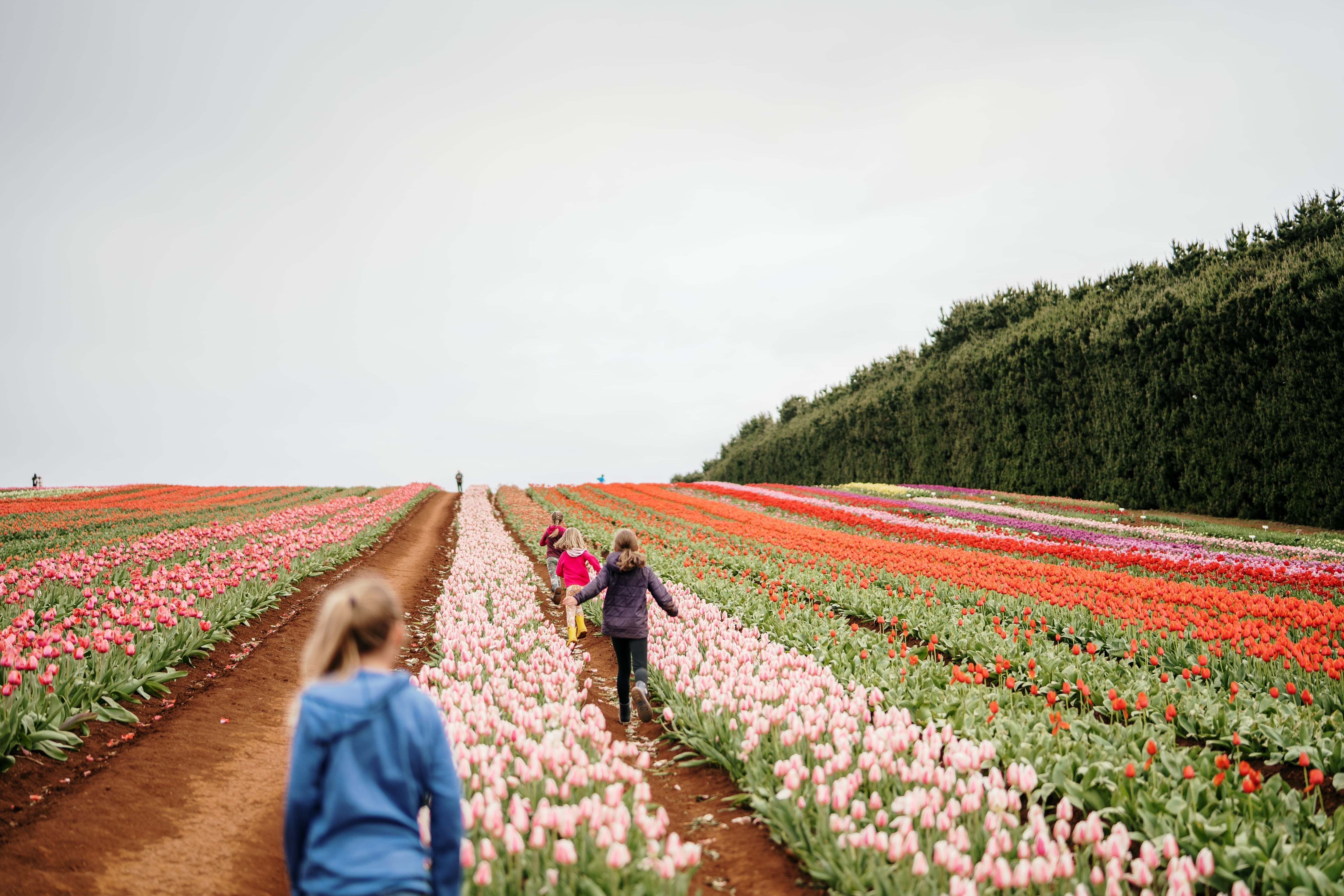 Top family destinations in Australia