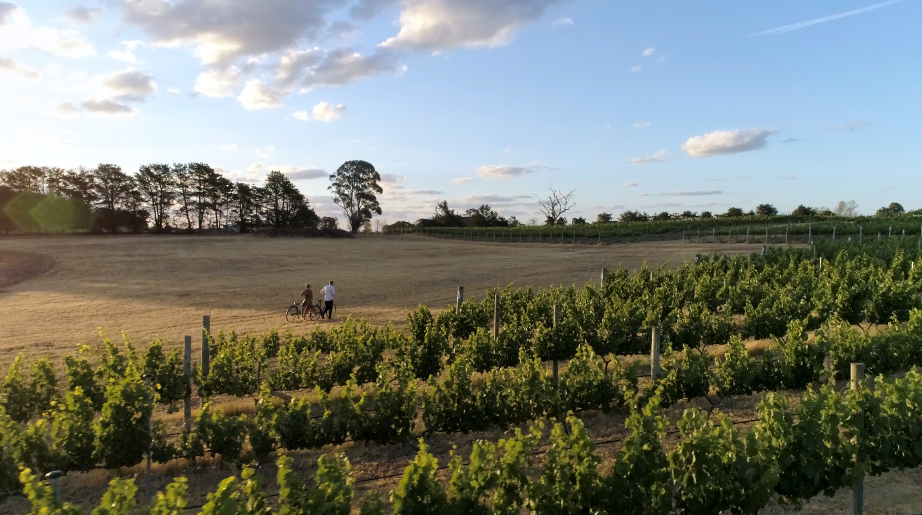 Canberra's best wineries, wine tours and tasting Tourism Australia