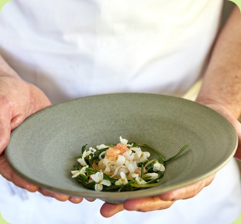 The Gourmet Grand Tour Bit