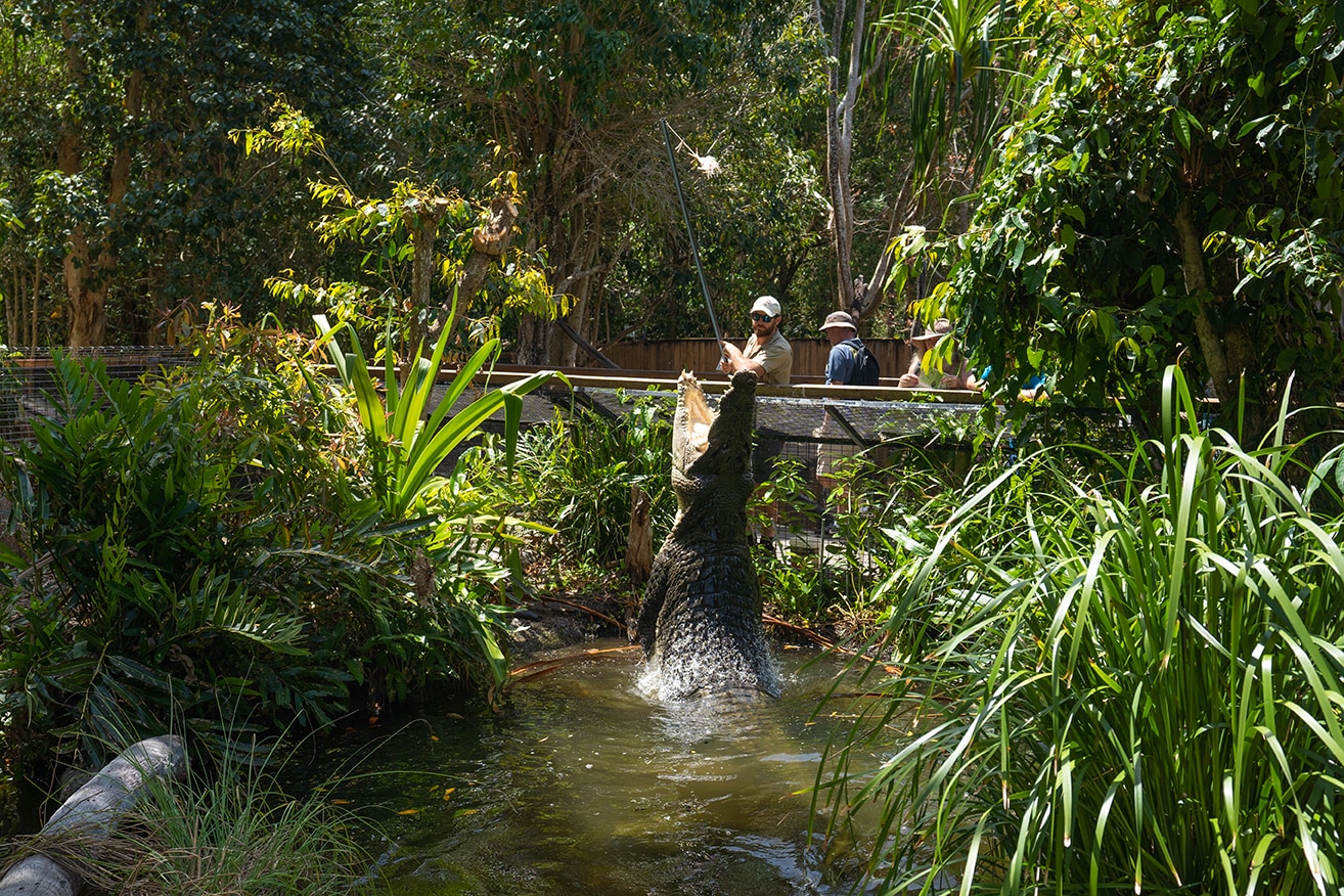 オーストラリアで最高の動物園とワイルドライフ パーク オーストラリア政府観光局