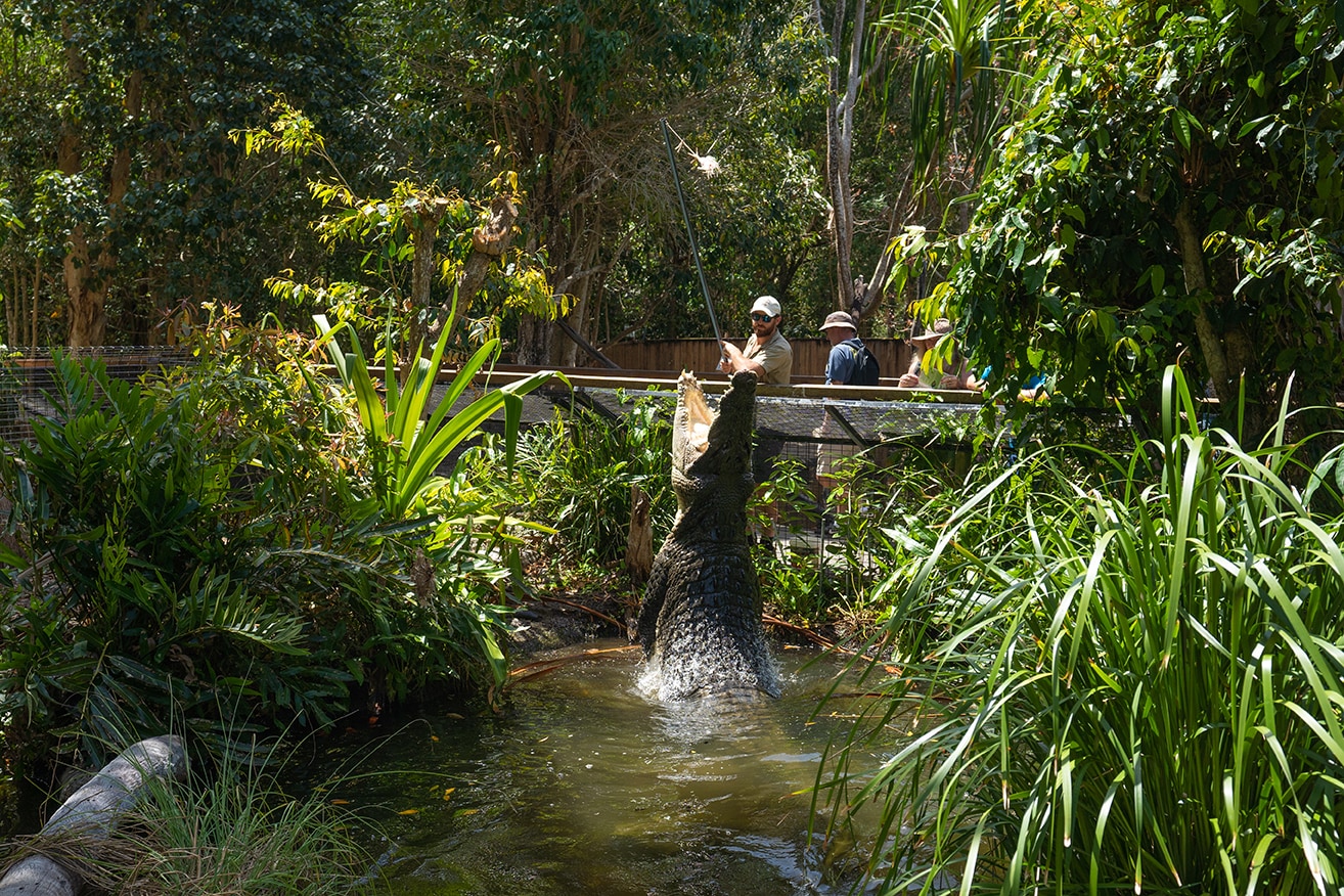 australia zoo tourism