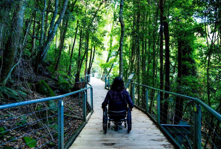 Ein Mann in einem Rollstuhl auf einem Wanderweg in den Blue Mountains, New South Wales © Tourism Australia