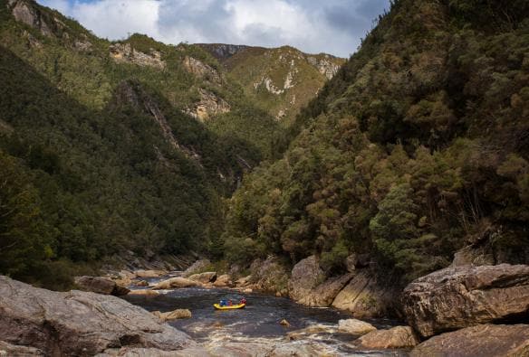 Franklin River Rafting, Franklin River, Tasmanien © Tourism Australia