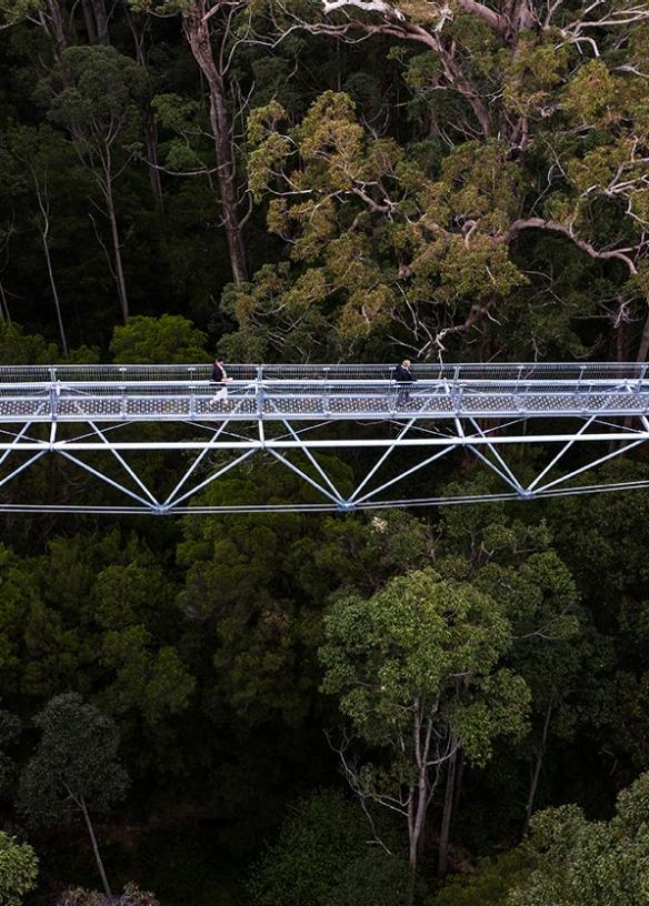 Valley of the Giants, Walpole, Westaustralien © Tourism Australia