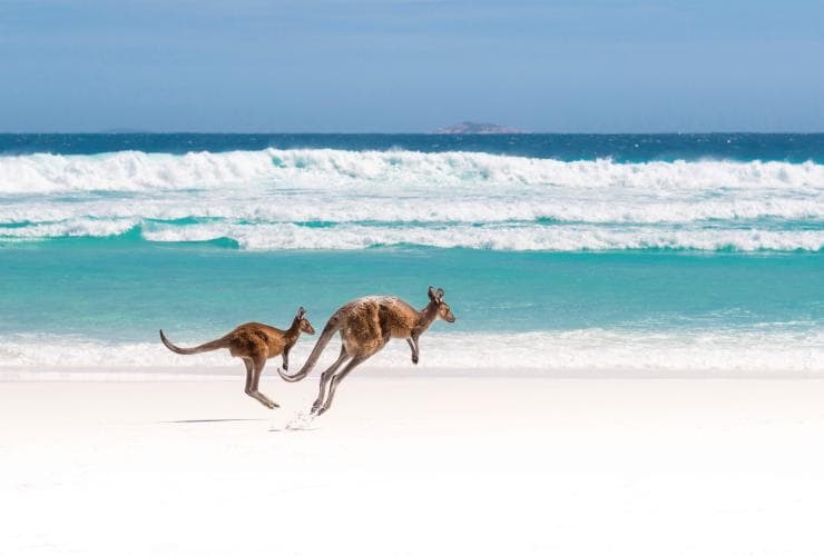 Lucky Bay, Cape Le Grand National Park, Westaustralien © Tourism Australia