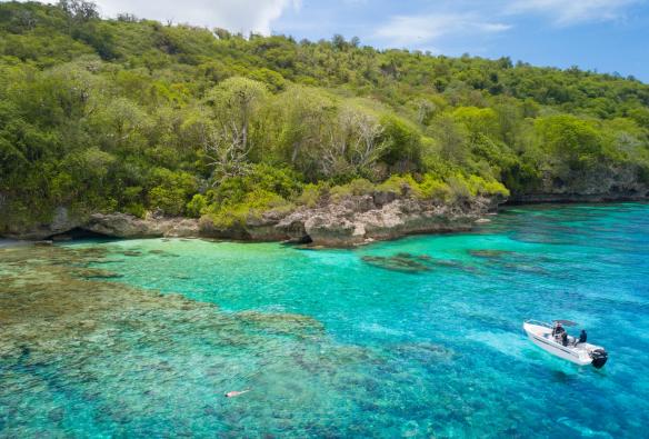 Eine Person schnorchelt während einer Tour mit Christmas Island Fishing & Adventure Tours an einem Korallenriff in der Nähe der Küste einer Insel mit üppigem Grün, Weihnachtsinsel © Chris Bray 