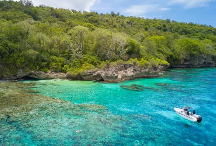 Eine Person schnorchelt während einer Tour mit Christmas Island Fishing & Adventure Tours an einem Korallenriff in der Nähe der Küste einer Insel mit üppigem Grün, Weihnachtsinsel © Chris Bray 