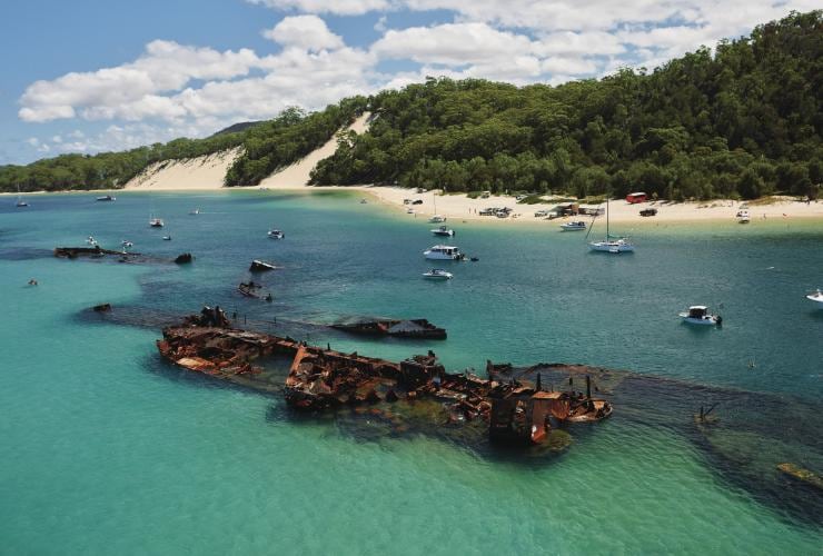 Ein von Booten umgebenes Schiffswrack im klaren blauen Wasser nahe einer weißen Sandinsel mit grünem Buschland, Tangalooma-Wracks, Moreton Island, Queensland © Tourism & Events Queensland 