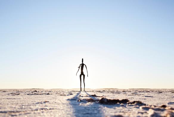 Ein trockener Salzsee mit der Skulptur eines Menschen, Antony Gormley Sculptures am Lake Ballard, Golden Outback, Westaustralien © Robert Gray Photography