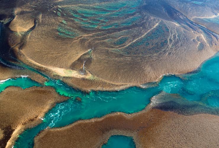 Montgomery Reef, Kimberley, Westaustralien © LAUREN BATH  PIRIE BATH PHOTOGRAPHY
